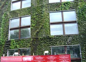 Musee-Branlyw.jpg