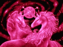 admirable_design_licorne.jpg