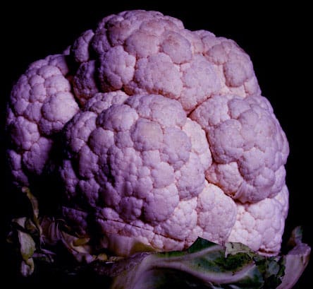 Un chou-fleur violet ?
