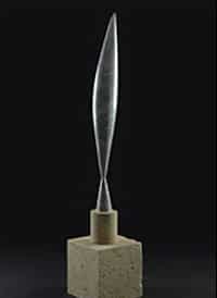 _admirable_design_Brancusi-.jpg