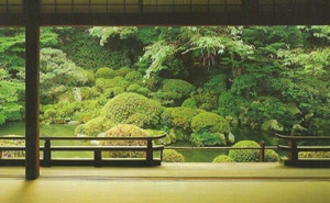 _admirable_design_Jardin-ja.jpg