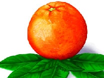 admirable_design_maroc_logo.jpg
