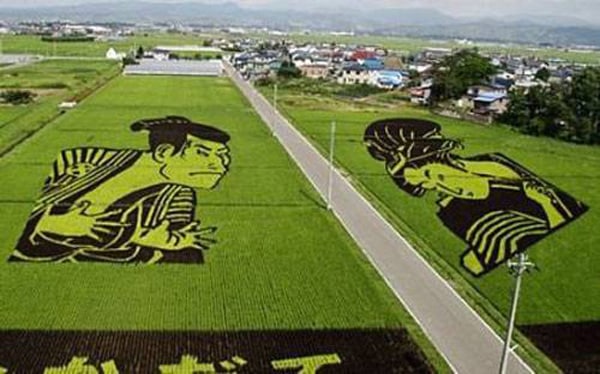admirable_design_japon_CHAMPS-DE-RIZ-2.jpg