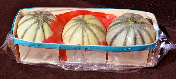 admirable_design_melons.jpg