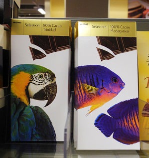 admirable_design_oiseaux.jpg