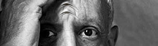admirable_design_picasso-2.jpg