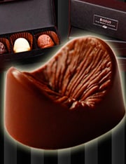Chocolat-anus  ADMIRABLE DESIGN