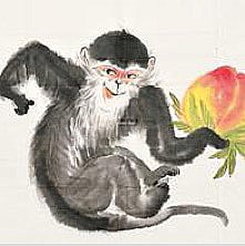 admirable_design-singe.jpg