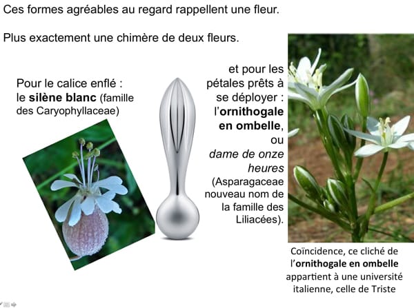 admirable_design.presse-citron-2.jpg