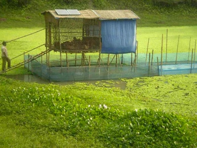 admirable_design_structures-flottantes.jpg
