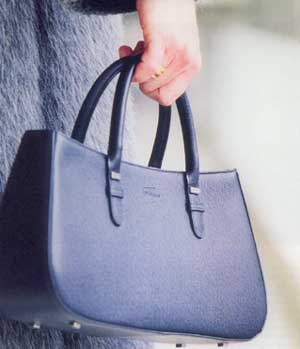 sac300w.jpg